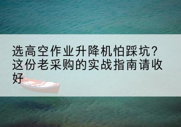 蓝田高空作业升降机厂家推荐-选高空作业升降机怕踩坑？这份老采购的实战指南请收好