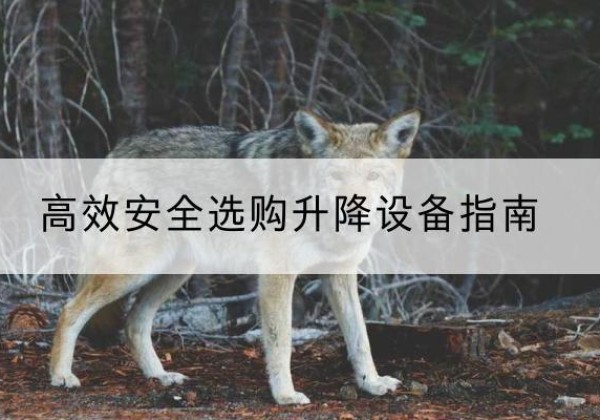 蓝田升降货梯厂家推荐-*安全选购升降设备指南