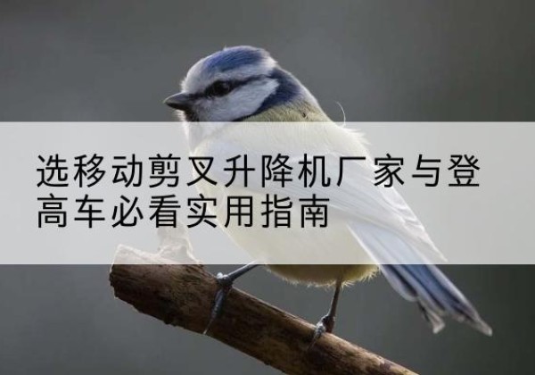 蓝田电动升降机厂家-选移动剪叉升降机厂家与登高车必看实用指南