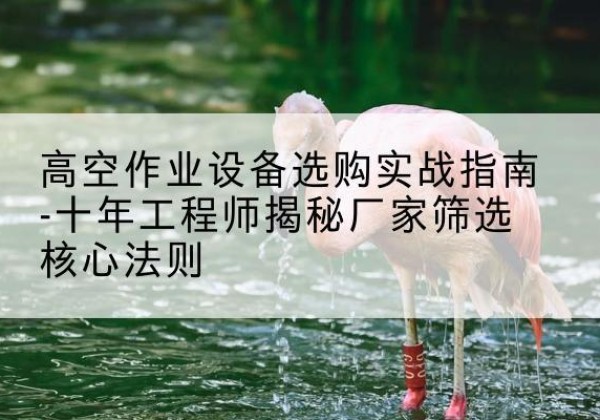 蓝田剪叉式升降机厂家-高空作业设备选购实战指南-十年工程师揭秘厂家筛选核心法则